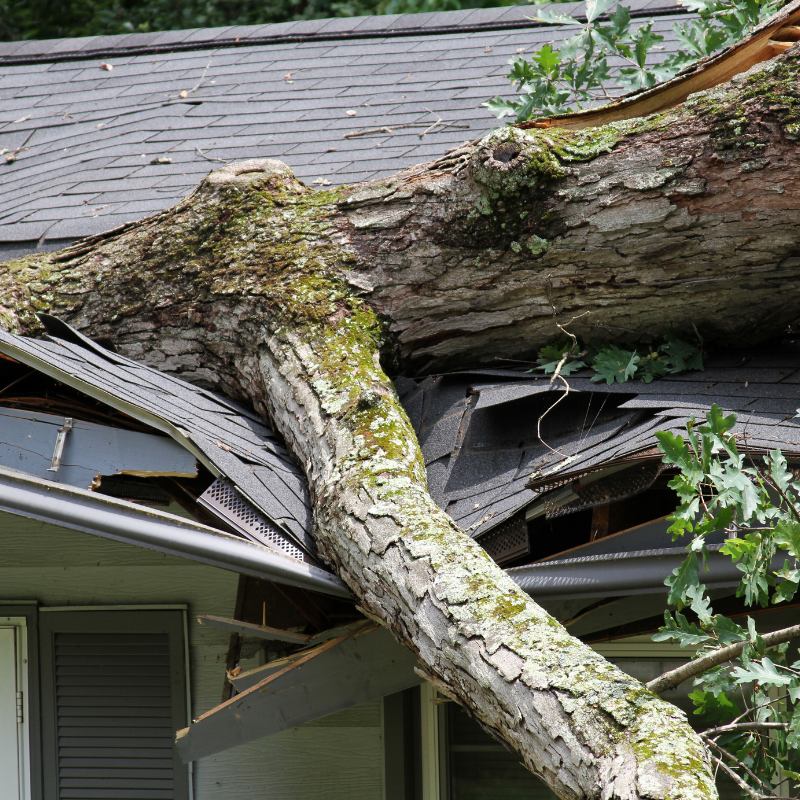 Professional Storm Damage Restoration Services in Hueytown, AL | Tango 7